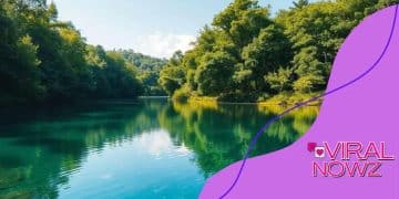 How to incorporate sustainability into your investment approach